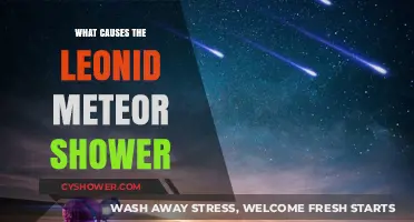 Unveiling the Celestial Origins of the Leonid Meteor Shower