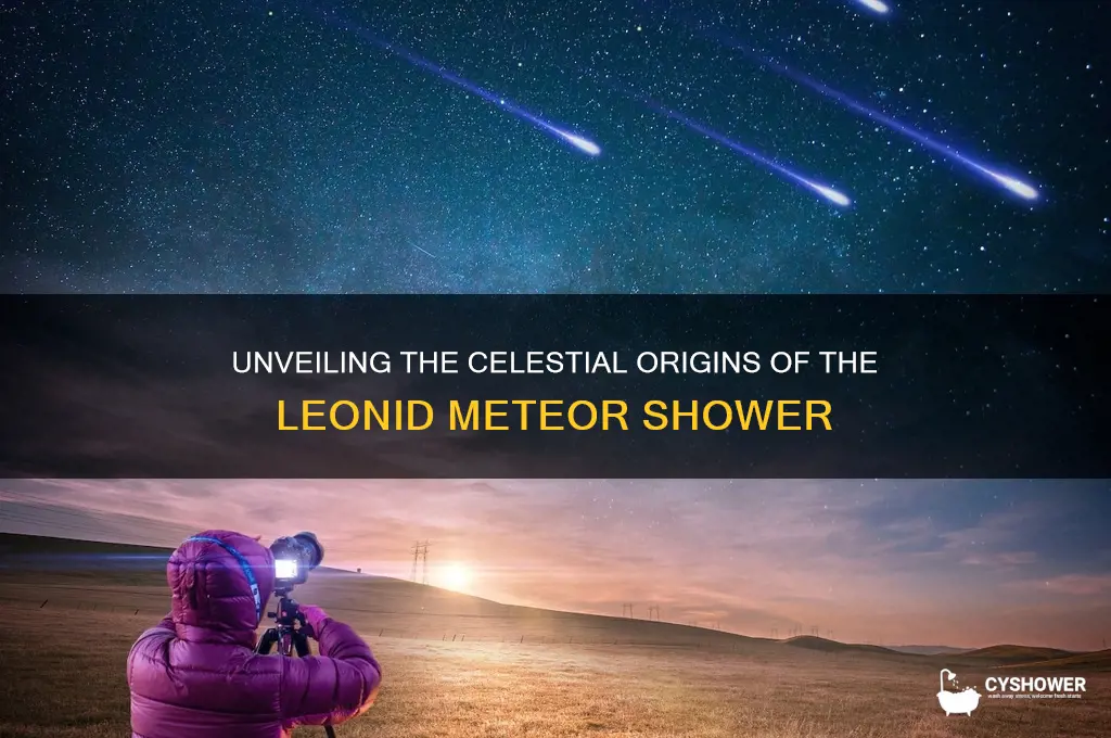 what causes the leonid meteor shower