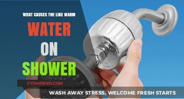 Why Your Shower Water Feels Lukewarm: Common Causes Explained