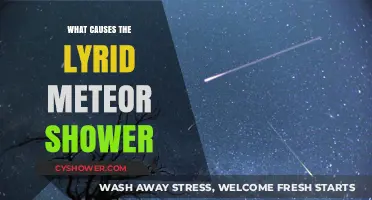 Unveiling the Cosmic Origins of the Lyrid Meteor Shower