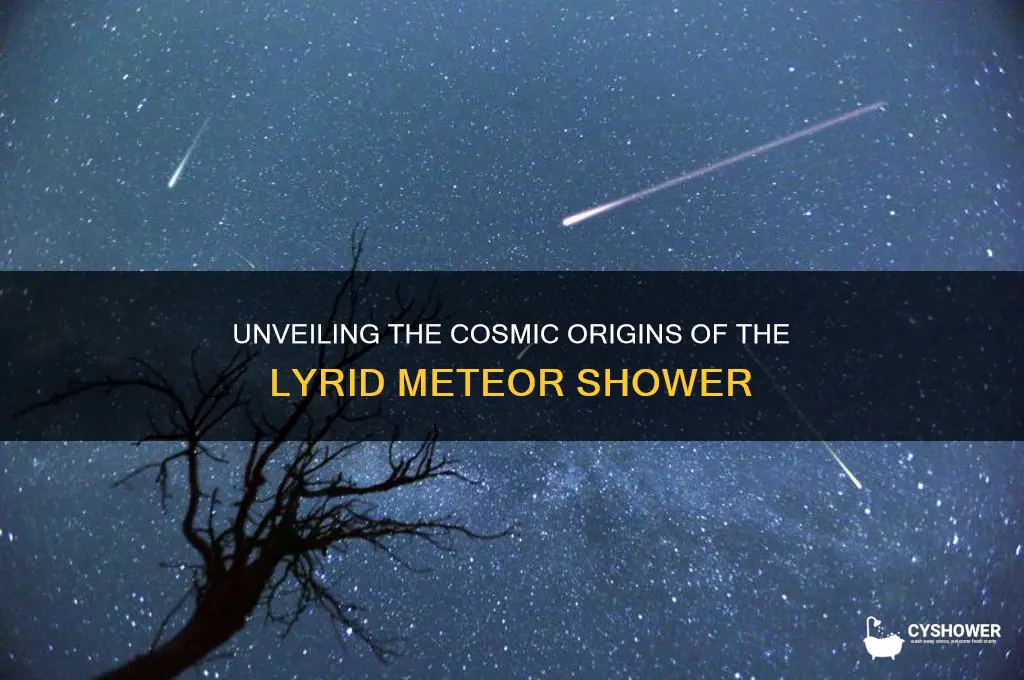 what causes the lyrid meteor shower