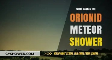 Orionid Meteor Shower Origins: Halley's Comet's Cosmic Dust Trail Explained