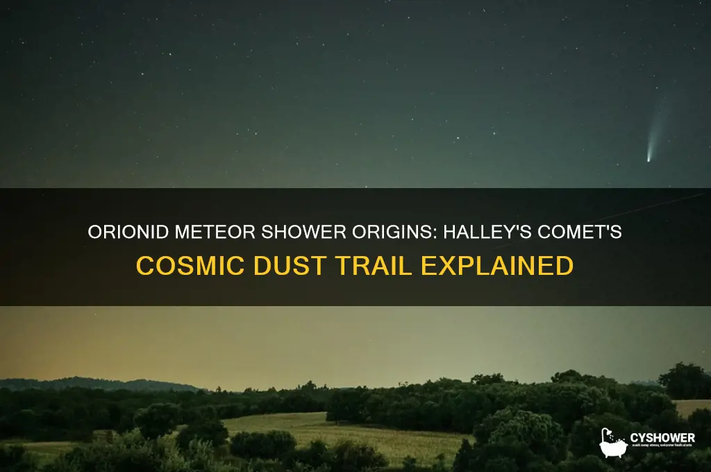 what causes the orionid meteor shower