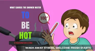 Why Your Shower Water Gets Hot: Common Causes Explained