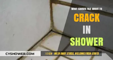 Why Shower Tile Grout Cracks: Common Causes and Prevention Tips