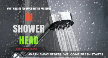 Why Your Shower Head Has Excessive Water Pressure: Common Causes