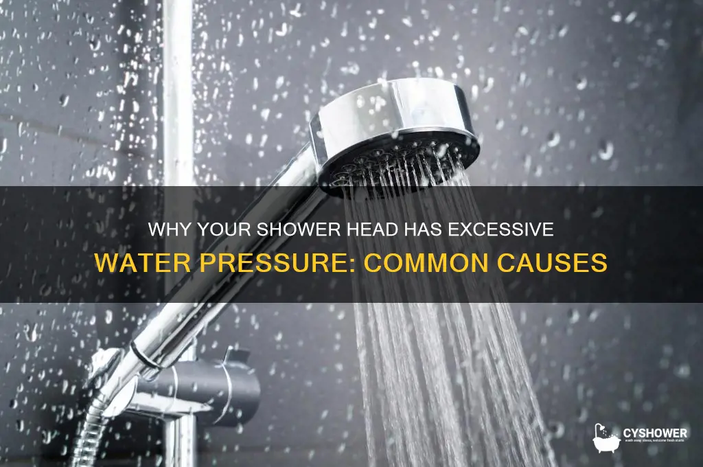 what causes too much water pressure in shower head