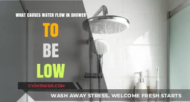Low Shower Pressure: Common Causes and Quick Fixes Explained