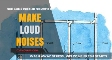 Why Your Shower Water Line is Making Loud Noises: Causes Explained