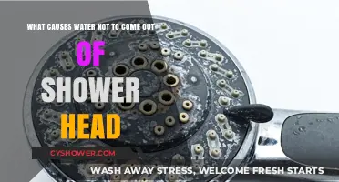 Why Your Shower Head Isn't Working: Common Causes and Fixes