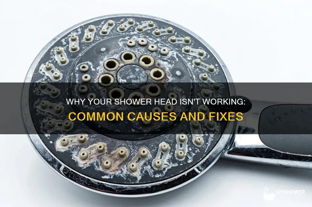 what causes water not to come out of shower head
