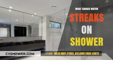 Why Water Streaks Appear on Your Shower: Causes and Solutions