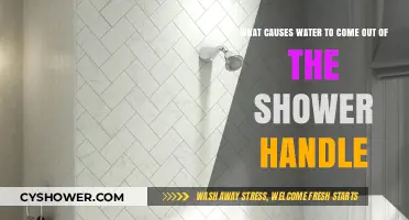 Why Water Leaks from Your Shower Handle: Common Causes Explained