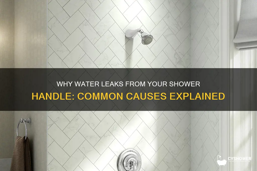 what causes water to come out of the shower handle