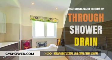 Why Water Backs Up Through Your Shower Drain: Common Causes Explained