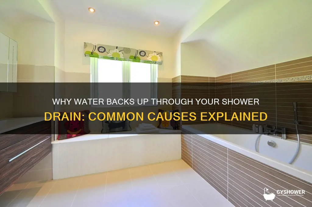 what causes water to come up through shower drain