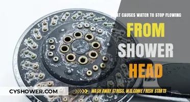 Why Your Shower Head Stops Flowing: Common Causes and Fixes