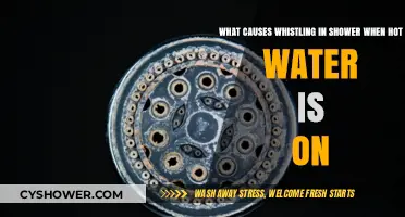 Why Your Shower Whistles When Hot Water Flows: Explained