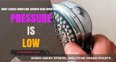 Why Does My Shower Head Whistle When Water Pressure Drops?