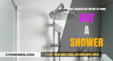 Why Your Shower Has Low Water Pressure: Common Causes and Fixes