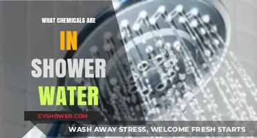 Unveiling the Hidden Chemicals in Your Shower Water: What You Need to Know