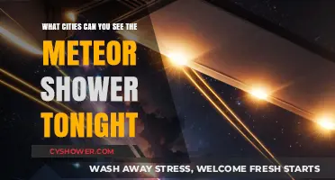 Where to Watch Tonight's Meteor Shower: Best Cities for Stargazing