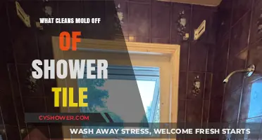 Effective Ways to Remove Mold from Shower Tiles Easily