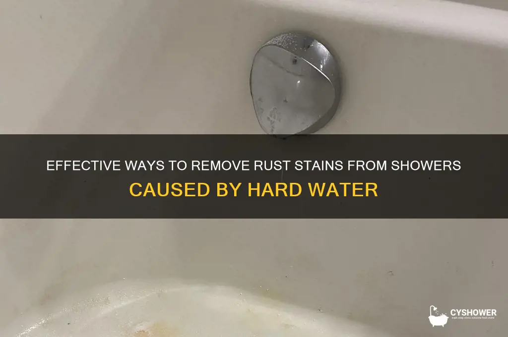 what cleans rust out of the shower from bad water