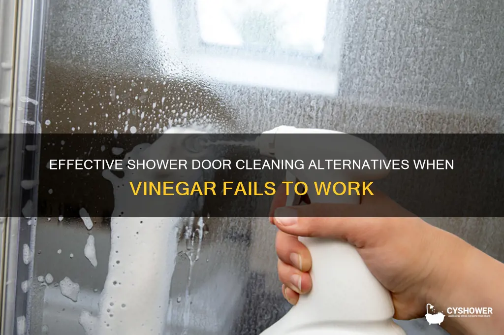 what cleans shower doors when vinegar doesnt