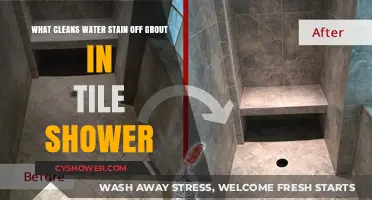 Effective Ways to Remove Water Stains from Shower Tile Grout