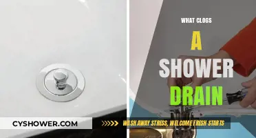 Common Causes of Clogged Shower Drains and How to Prevent Them