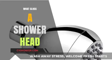 What Causes Shower Head Clogs and How to Prevent Them