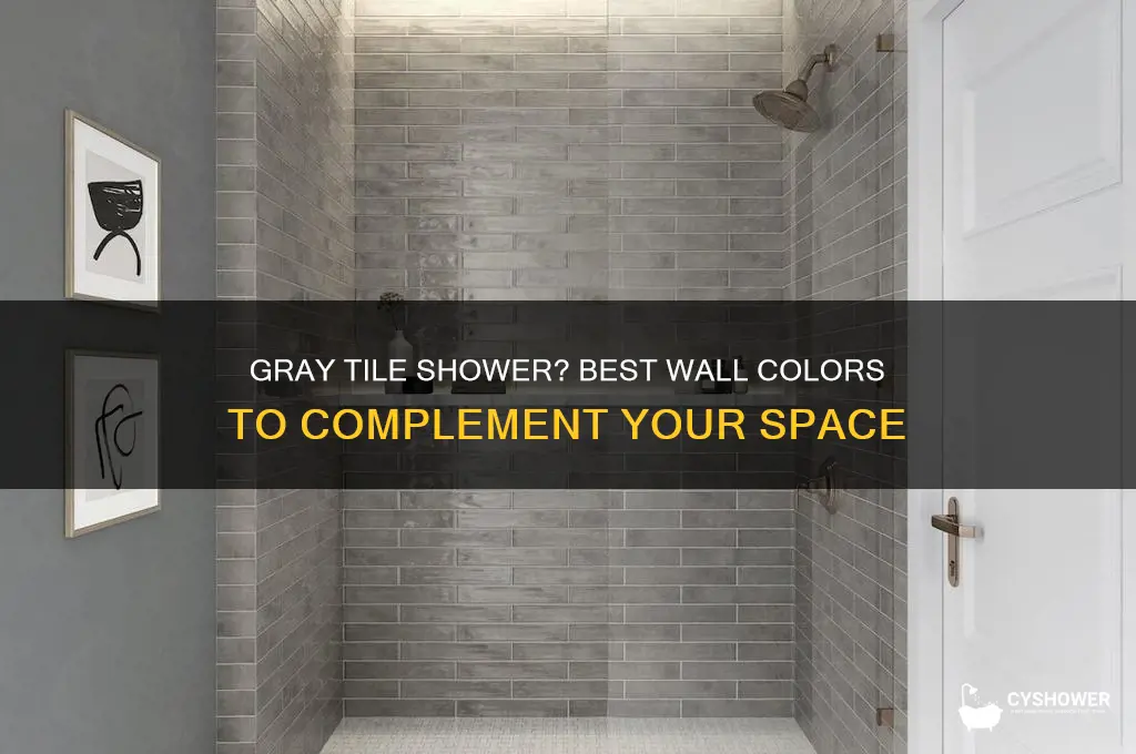 what color for walls on a gray tile shower