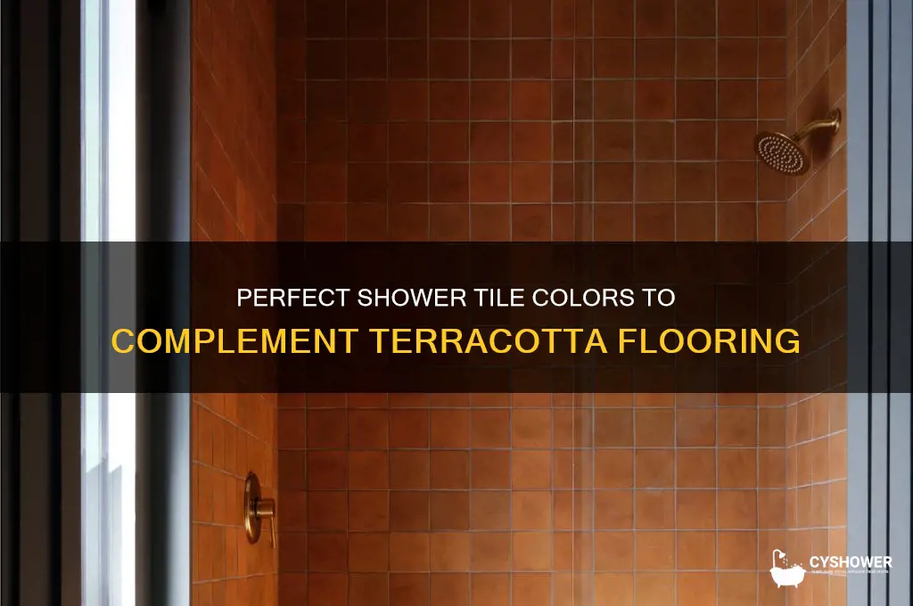 what color of tile shower goes with terracotta tile