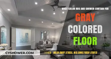 Perfect Rug and Shower Curtain Pairings for Gray Floors