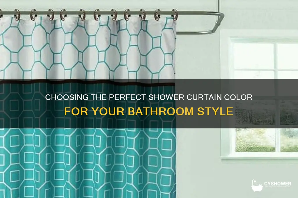 what color should my shower curtain be