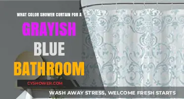 Perfect Shower Curtain Colors to Complement Your Grayish Blue Bathroom