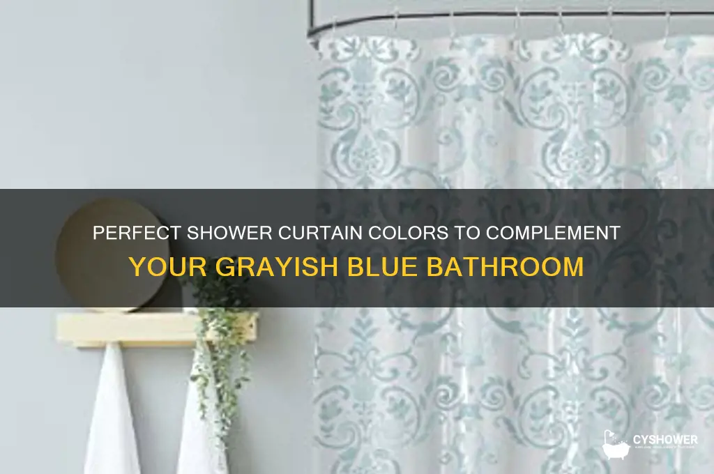 what color shower curtain for a grayish blue bathroom