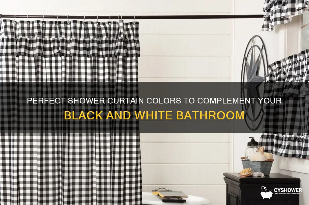 what color shower curtain for black and white bathroom
