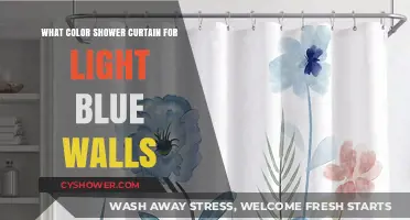 Perfect Shower Curtain Colors to Complement Light Blue Bathroom Walls