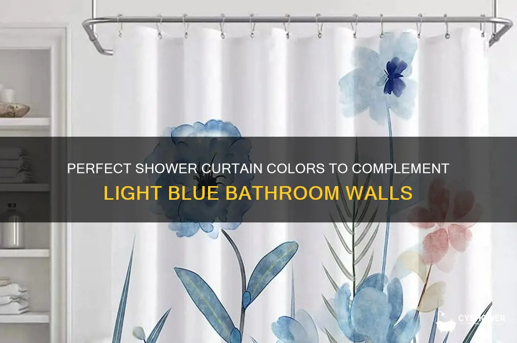 what color shower curtain for light blue walls