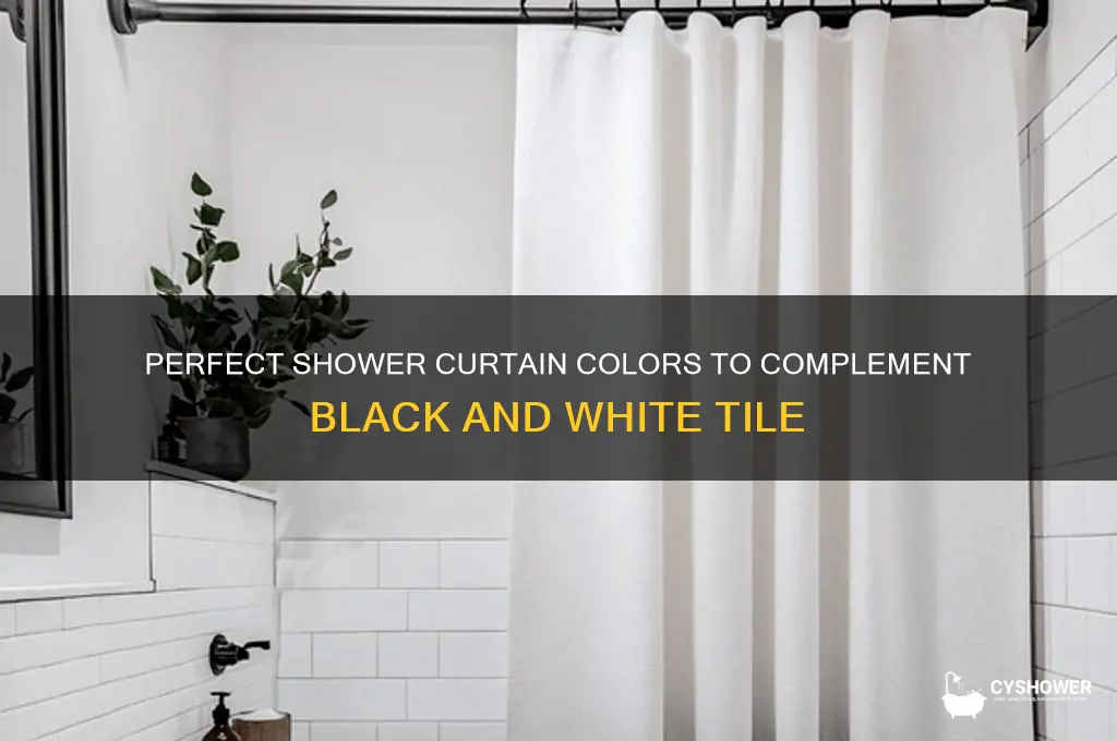 what color shower curtain with black and white tile