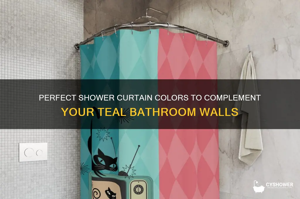 what color shower curtain with teal walls