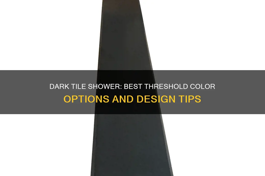 what color shower threshold for dark tile
