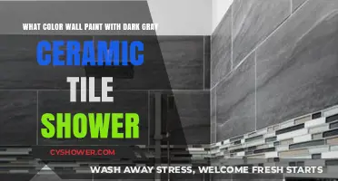 Dark Gray Shower Tiles: Best Wall Paint Colors to Complement
