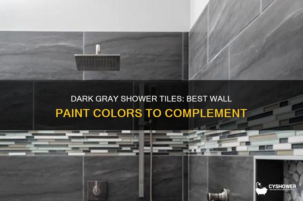 what color wall paint with dark gray ceramic tile shower