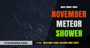 November's Leonid Meteor Shower: Comet Tempel-Tuttle's Celestial Display