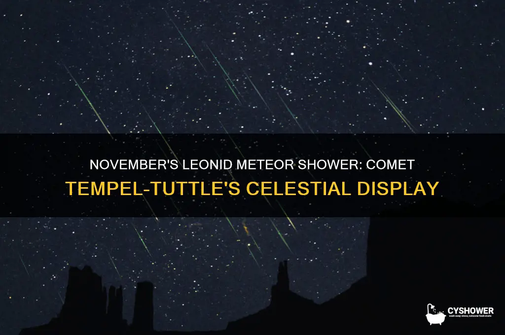what comet gives november meteor shower