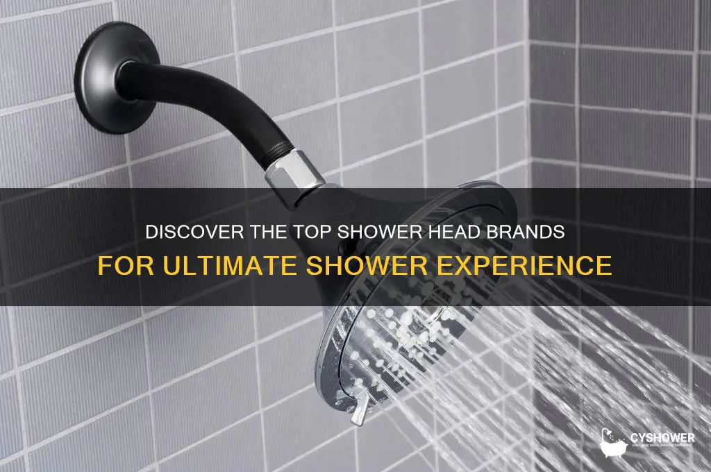 what company makes the best shower heads