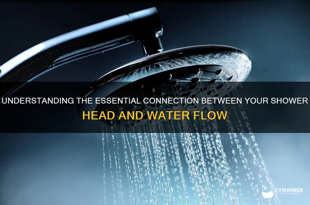 what connection is a shower head